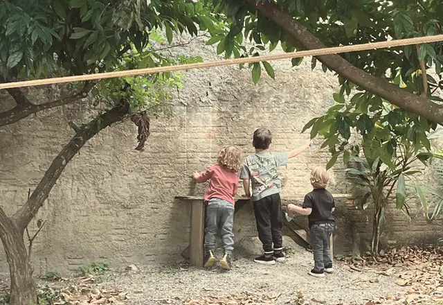 Três crianças de costas, junto a um banco de madeira, desenhando no muro à sombra das árvores