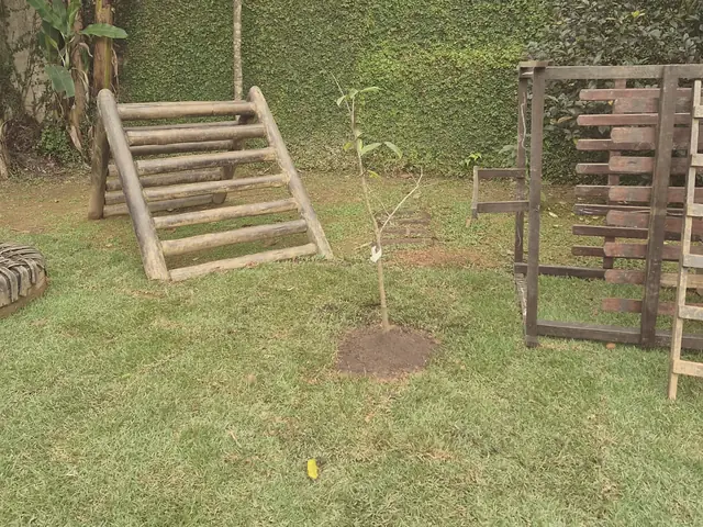 Gramado com escada de troncos, estrutura de madeira para escalar e uma muda de árvore recém-plantada